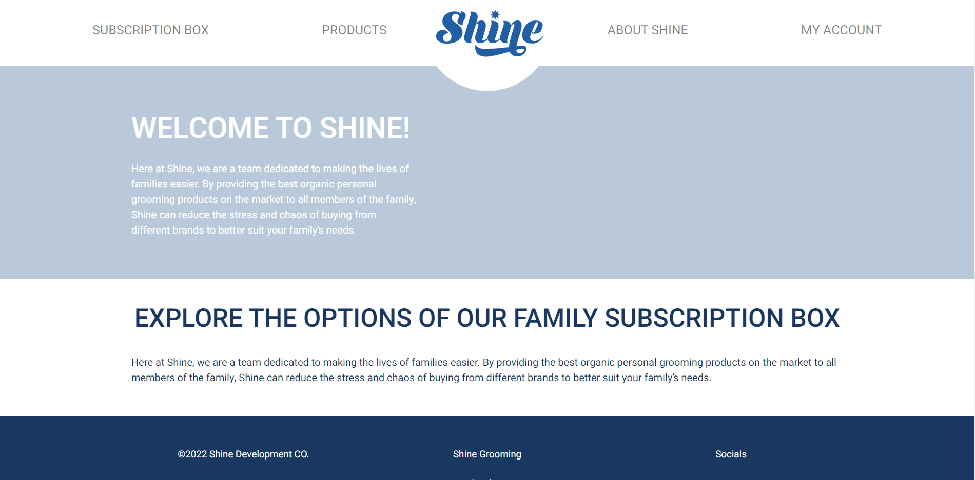 Shine Website Image